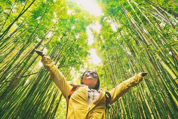 Studying Sustainability in Business